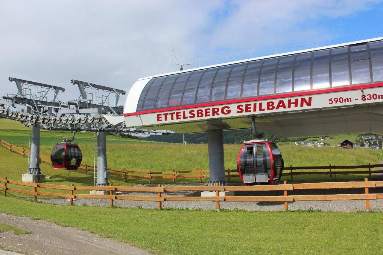 Ferienwohnung Mohnwiese Und Blumenwiese Willingen  Zewnętrze zdjęcie
