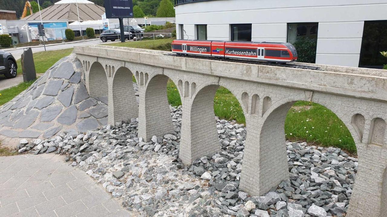 Ferienwohnung Mohnwiese Und Blumenwiese Willingen  Zewnętrze zdjęcie