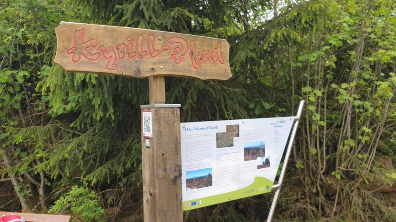 Ferienwohnung Mohnwiese Und Blumenwiese Willingen  Zewnętrze zdjęcie